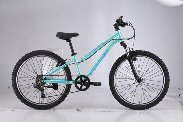 Southern Cross X24 Mint Kids Bike Inner City Cycles